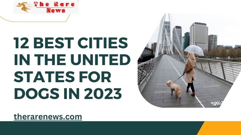 12 Best Cities in the United States for Dogs in 2023