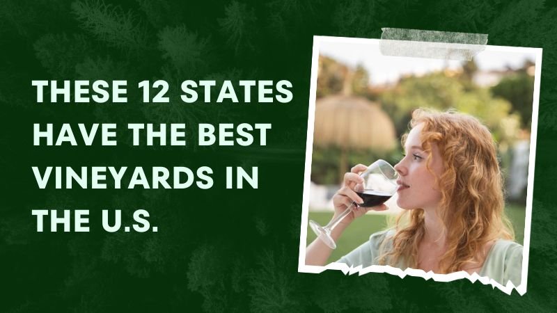 These 12 States Have the Best Vineyards in the U.S.